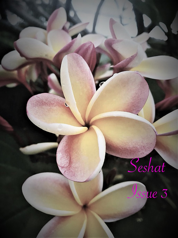 Seshat Issue 3